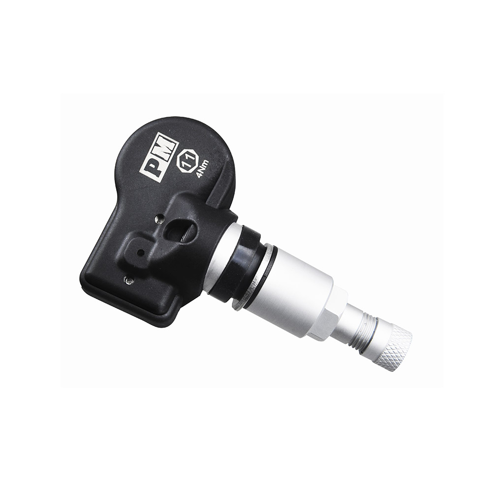 Parkmaster TPMS 4-22_1.jpg Parkmaster TPMS 4-22_1.jpg
